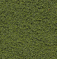 Woodland Scenics FC136 Underbrush Bag - Medium Green (18 Cu. In.)