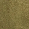 Woodland Scenics RG5124 ReadyGrass 50"x 100" Grass Mat, Summer