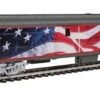 Walthers Proto 920-9205 HO Scale 85' ACF Baggage Union Pacific UP 5779 American Flag Graphics