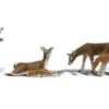 Woodland Scenics A2185 N Scale Figures - Deer