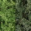 Woodland Scenics L168 Lichen Bag, Dark Green Mix/ (165 Cu. In.)